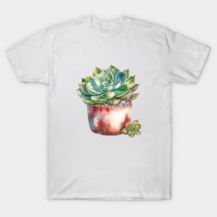 Succulents In Pot T-Shirt